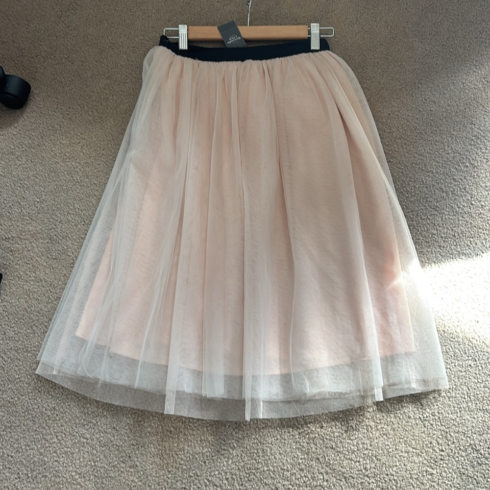 Abercrombie &Fitch Tulle Skirt - Picture 3 of 10